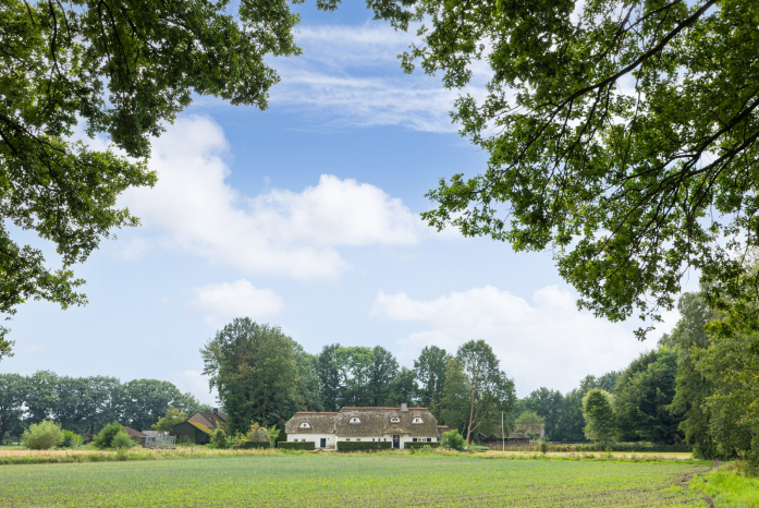 Brandsestraat 13, Sint Michielsgestel